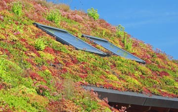 Sutton In Craven living roof systems